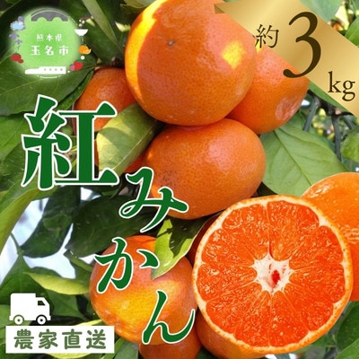 【玉名市産】 紅みかん 約3kg