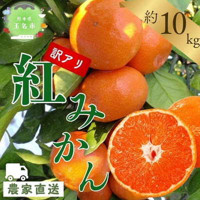 【訳あり】玉名市産 紅みかん 約10kg