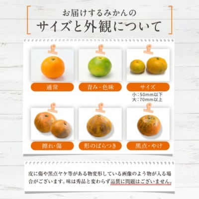 【訳あり】玉名市産 紅みかん 約10kg