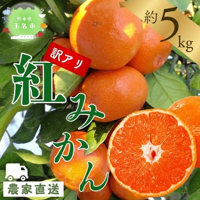 【訳あり】玉名市産 紅みかん 約5kg