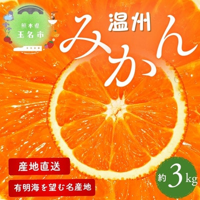 【熊本県産】 こだわりの温州みかん　約3kg