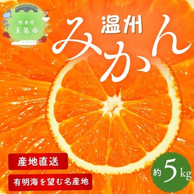 【熊本県産】 こだわりの温州みかん　約5kg