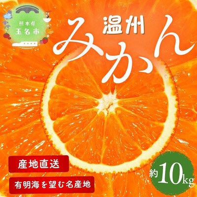 【熊本県産】 こだわりの温州みかん　約10kg