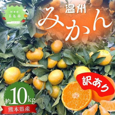 【訳あり】熊本県産 こだわりの温州みかん　約10kg
