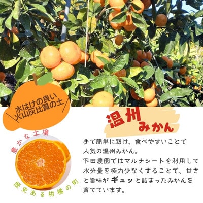【訳あり】熊本県産 こだわりの温州みかん　約10kg