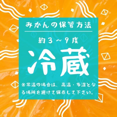 【熊本県産】 晩柑 約10kg