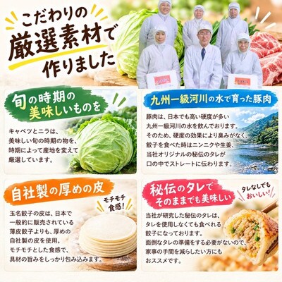 玉名餃子  50個