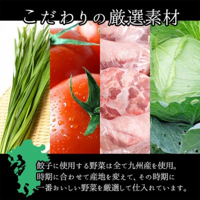 玉名餃子  50個