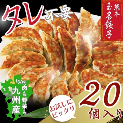玉名餃子 20個