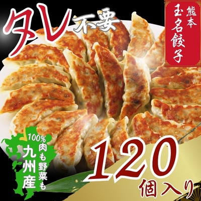 玉名餃子 120個