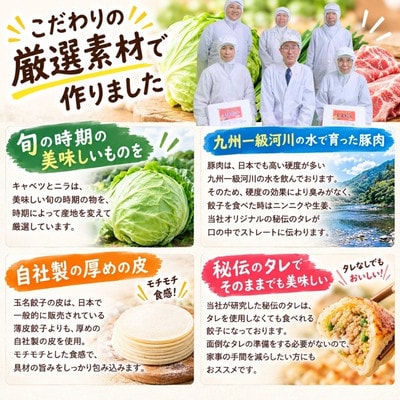 玉名餃子 180個