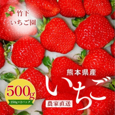 熊本県玉名市産 いちご500g(2パック)