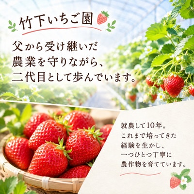 熊本県玉名市産 いちご2kg(8パック)