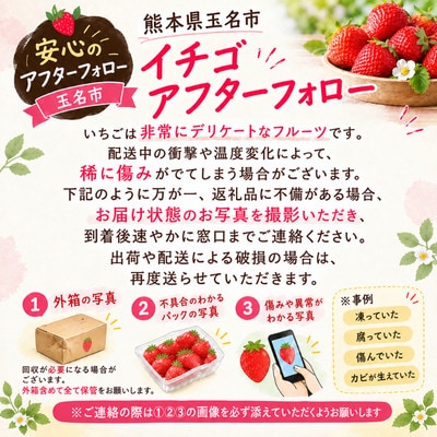 熊本県玉名市産 いちご2kg(8パック)
