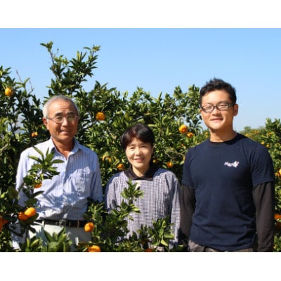 「特選」ぽめろまん(化粧箱付き)5～6個入り