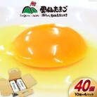 雲仙たまご Lサイズ 40個 (10個入り×4パック) (37個+割れ補償3個入り)