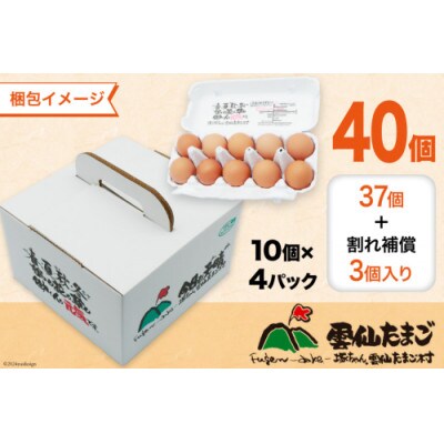 雲仙たまご Lサイズ 40個 (10個入り×4パック) (37個+割れ補償3個入り)