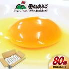 雲仙たまご Lサイズ 80個 (10個入り×8パック)(75個+割れ補償5個入り)