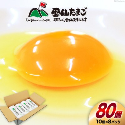 雲仙たまご Lサイズ 80個 (10個入り×8パック)(75個+割れ補償5個入り)