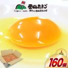 雲仙たまごLサイズ 160個(150個+割れ補償10個入り)