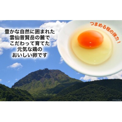 雲仙たまごLサイズ 160個(150個+割れ補償10個入り)