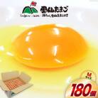 雲仙たまごMサイズ 180個(170個+割れ補償10個入り)