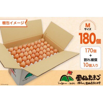 雲仙たまごMサイズ 180個(170個+割れ補償10個入り)