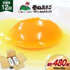 【毎月定期便】雲仙たまご 40個 (10個入り×4パック) (37個+割れ補償3個入り)全12回