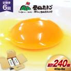 【毎月定期便】雲仙たまご 40個 (10個入り×4パック) (37個+割れ補償3個入り)全6回