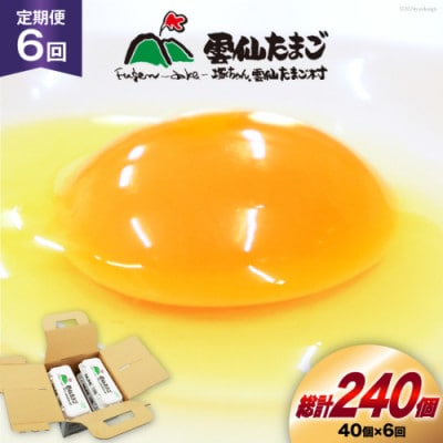 【毎月定期便】雲仙たまご 40個 (10個入り×4パック) (37個+割れ補償3個入り)全6回