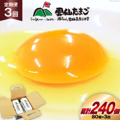 【毎月定期便】雲仙たまご 80個 (10個入り×8パック)(75個+割れ補償5個入り)全3回
