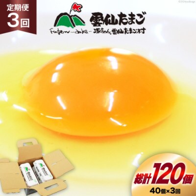 【毎月定期便】雲仙たまご 40個 (10個入り×4パック) (37個+割れ補償3個入り)全3回
