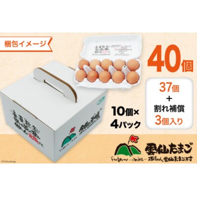 【毎月定期便】雲仙たまご 40個 (10個入り×4パック) (37個+割れ補償3個入り)全3回