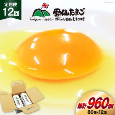 【毎月定期便】雲仙たまご 80個 (10個入り×8パック)(75個+割れ補償5個入り)全12回