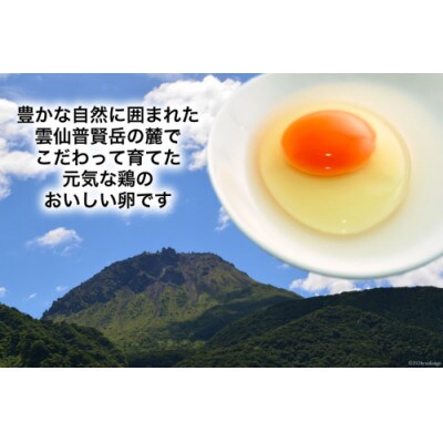 【毎月定期便】雲仙たまご 80個 (10個入り×8パック)(75個+割れ補償5個入り)全12回