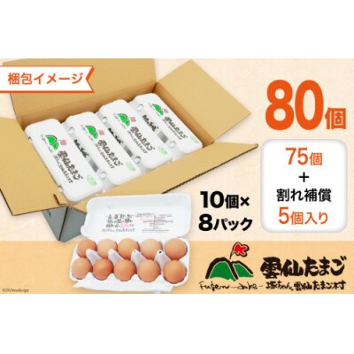 【毎月定期便】雲仙たまご 80個 (10個入り×8パック)(75個+割れ補償5個入り)全12回