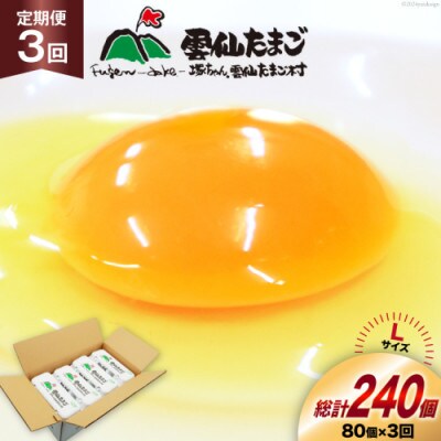 【毎月定期便】雲仙たまごLサイズ 80個(75個+割れ補償5個入り)全3回