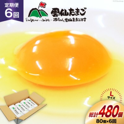 【毎月定期便】雲仙たまごLサイズ 80個(75個+割れ補償5個入り)全6回