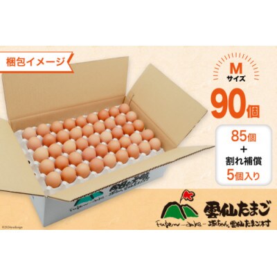 【毎月定期便】雲仙たまごMサイズ 90個(85個+割れ補償5個入り)全6回