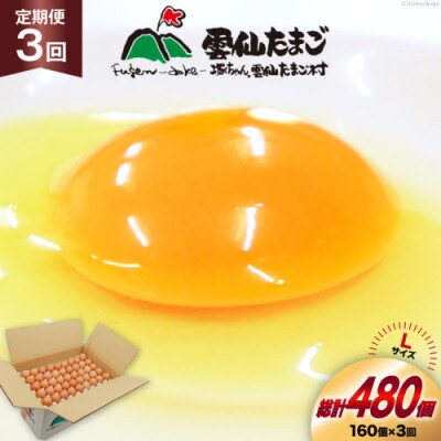 【毎月定期便】雲仙たまごLサイズ 160個(150個+割れ補償10個入り)全3回