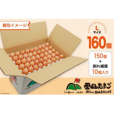 【毎月定期便】雲仙たまごLサイズ 160個(150個+割れ補償10個入り)全3回