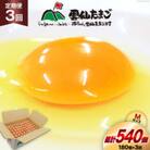 【毎月定期便】雲仙たまごMサイズ 180個(170個+割れ補償10個入り)全3回