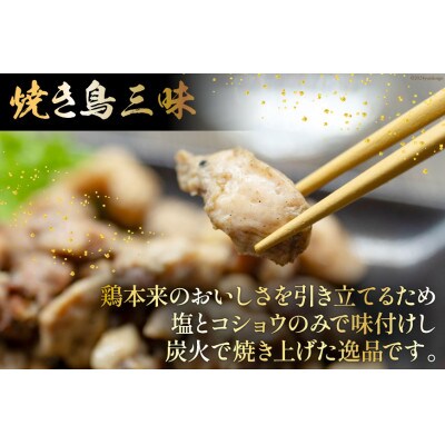 【毎月定期便】焼き鳥三昧 塩味(180g×6袋)全6回