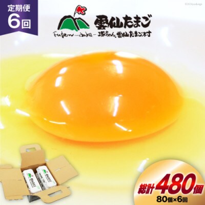 【毎月定期便】雲仙たまごLサイズ 80個 (10個入り×8パック)(75個+割れ補償5個入り)全6回