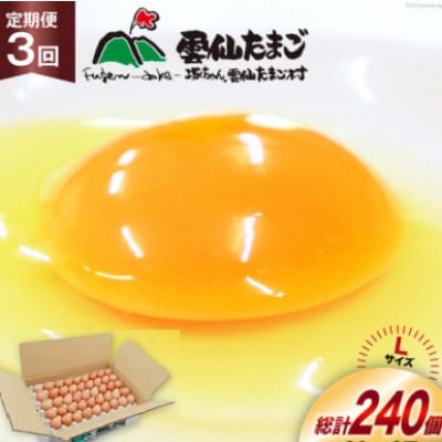 【毎月定期便】雲仙たまごLサイズ 80個(75個+割れ補償5個入り)全3回