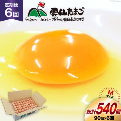 【毎月定期便】雲仙たまごMサイズ 90個(85個+割れ補償5個入り)全6回