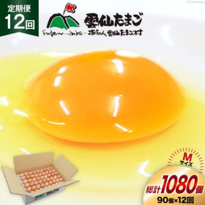 【毎月定期便】雲仙たまごMサイズ 90個(85個+割れ補償5個入り)全12回