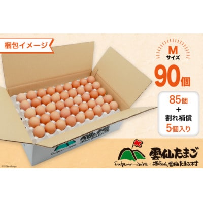 【毎月定期便】雲仙たまごMサイズ 90個(85個+割れ補償5個入り)全12回