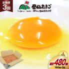 【毎月定期便】雲仙たまごLサイズ 160個(150個+割れ補償10個入り)全3回