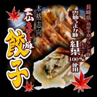 雲仙もみじ豚餃子詰合せ